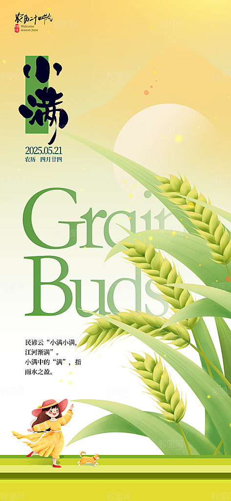 小满二十四节气海报