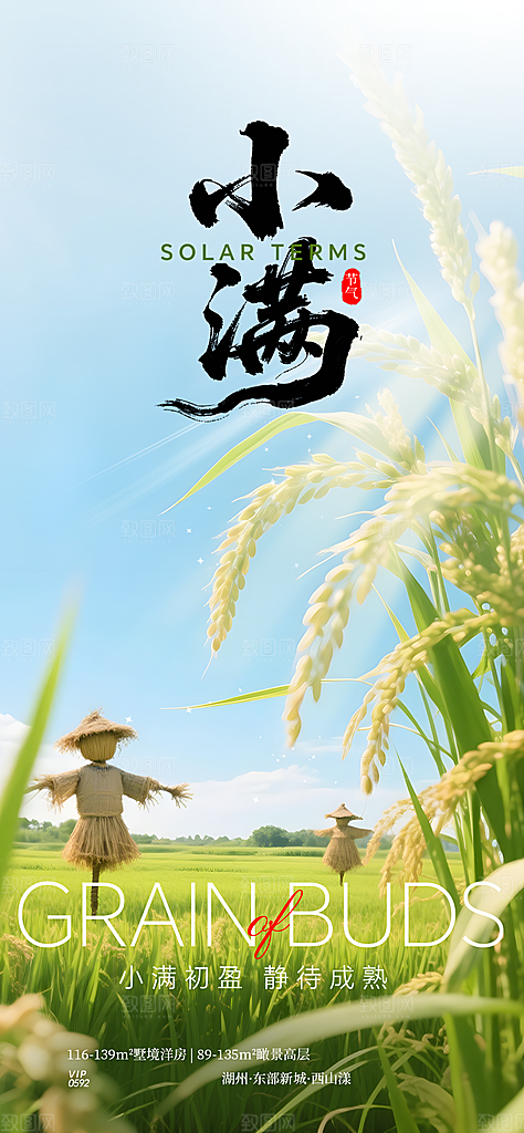二十四节气小满海报