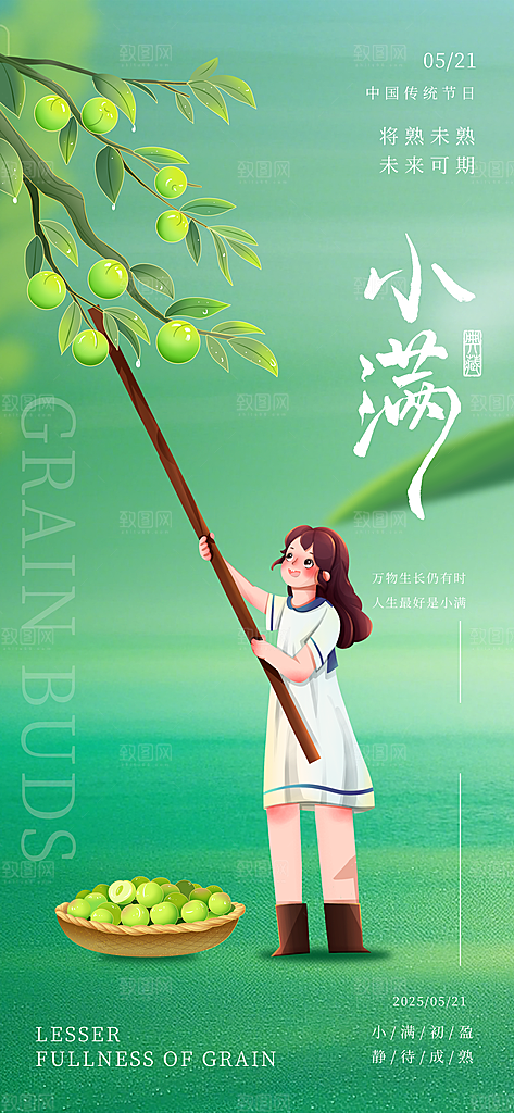二十四节气小满海报