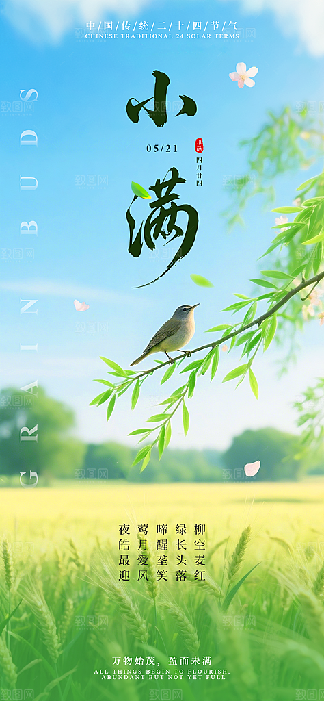 二十四节气小满海报