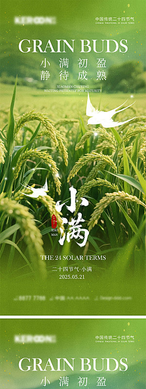 小满节气宣传海报