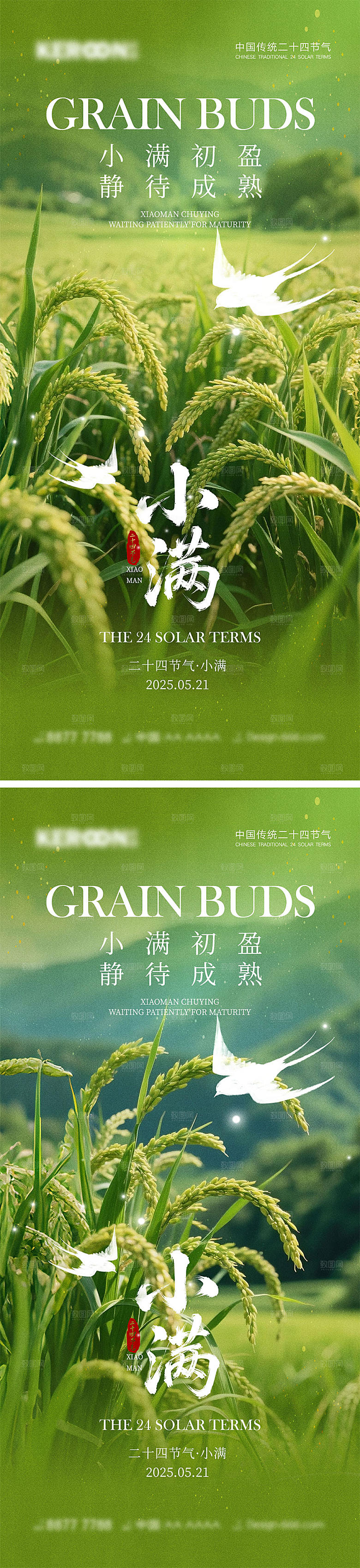 小满节气宣传海报