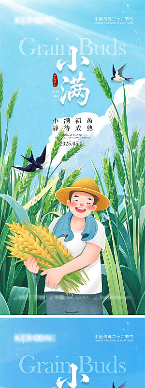 小满节气宣传海报