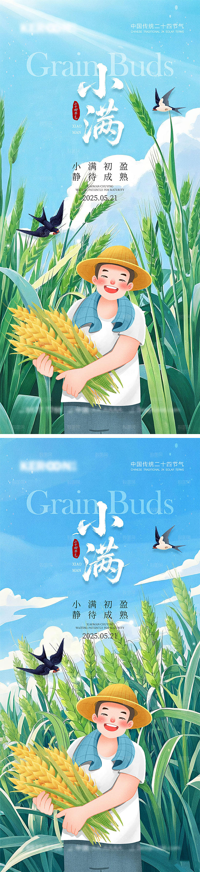 小满节气宣传海报