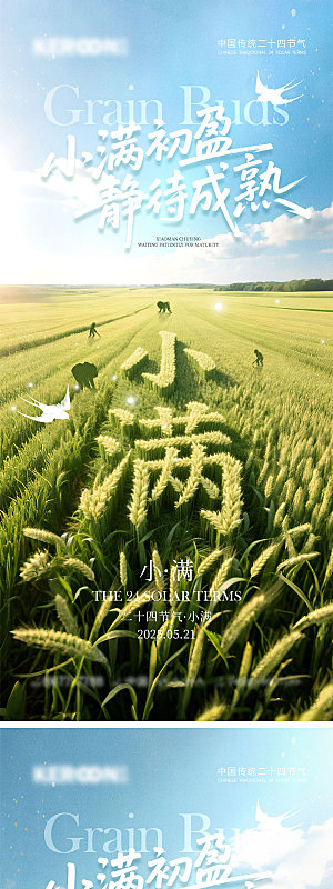 小满节气宣传海报