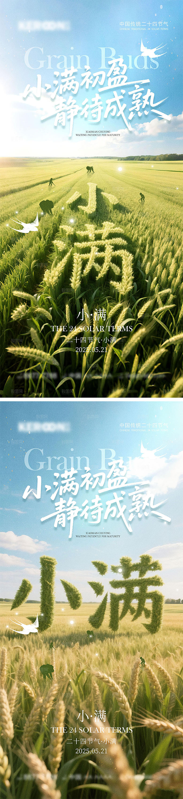 小满节气宣传海报