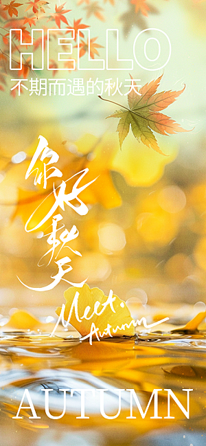 春夏秋冬四季你好问候日签海报