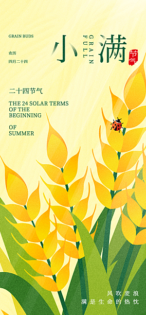 小满二十四节气海报