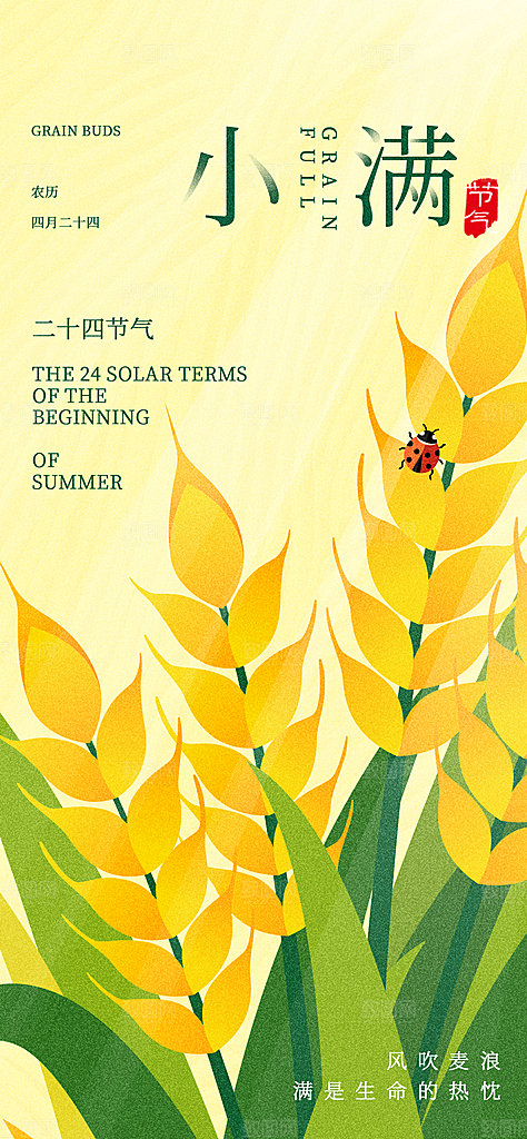 小满二十四节气海报