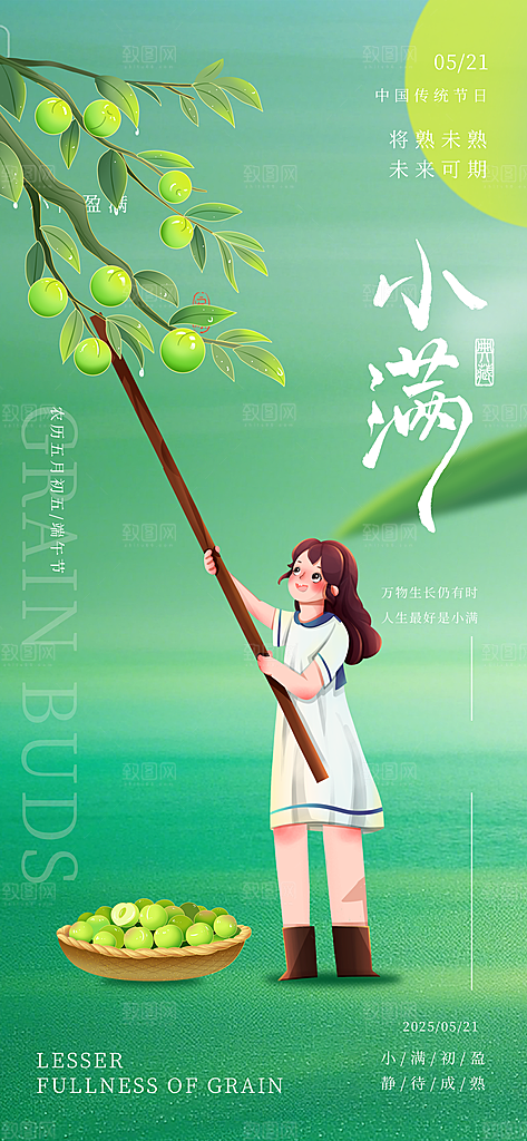 小满二十四节气海报