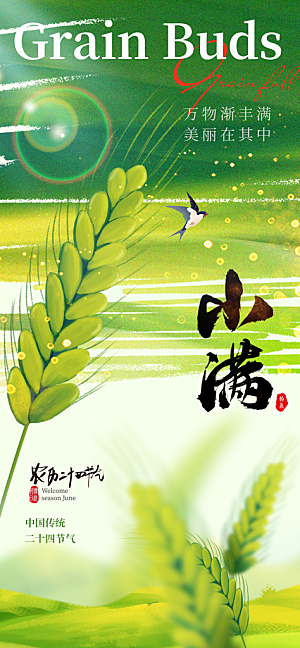 小满二十四节气海报