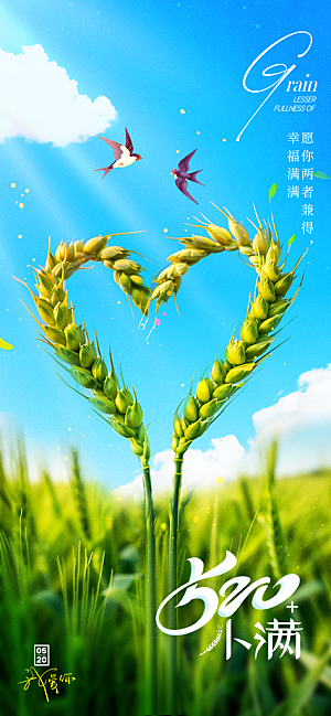 小满二十四节气海报