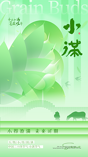 小满二十四节气海报
