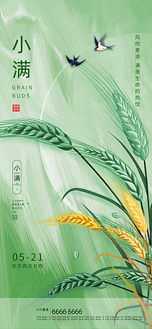 小满二十四节气海报