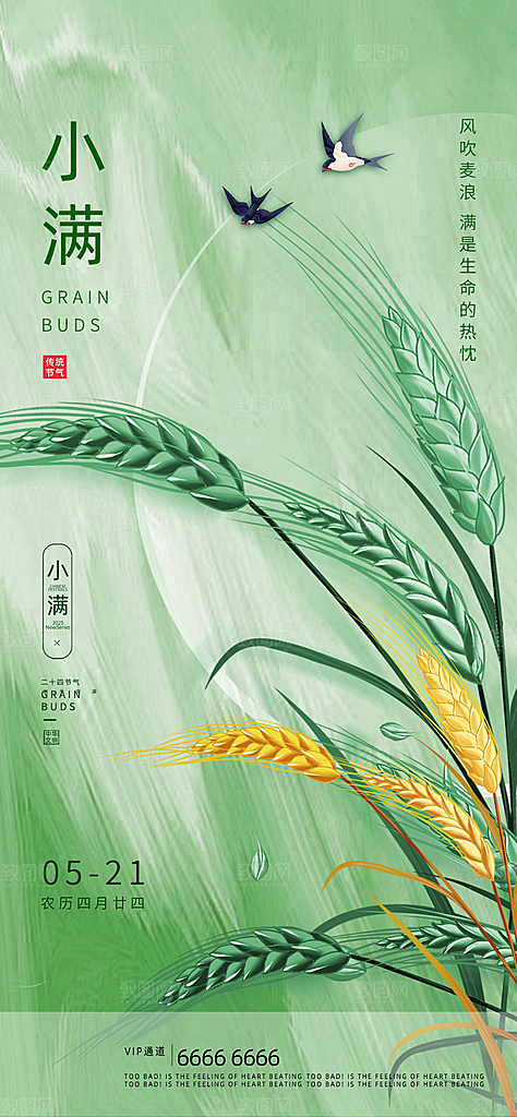 小满二十四节气海报