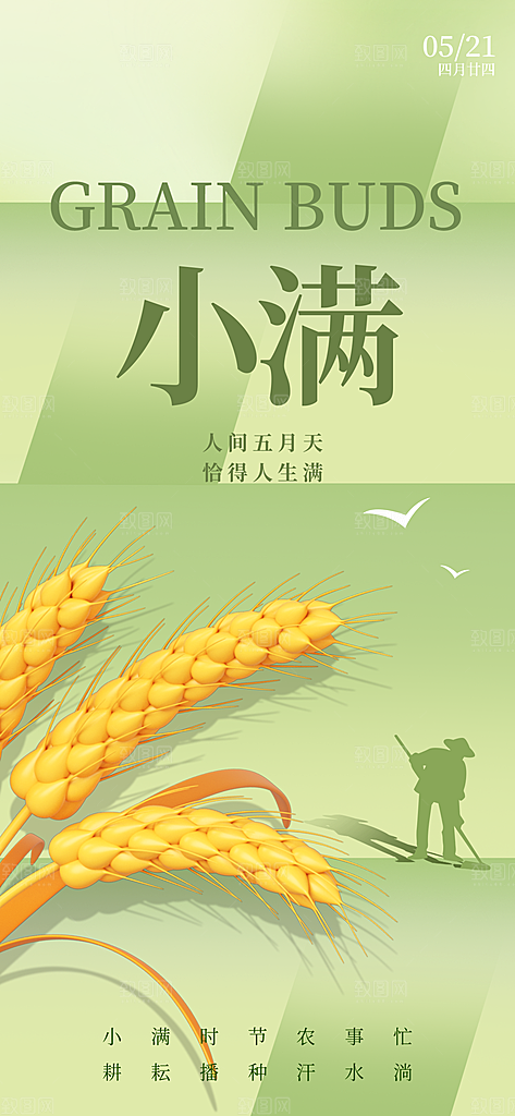 二十四节气小满海报