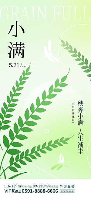 小满二十四节气海报