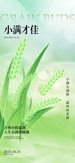 小满二十四节气海报