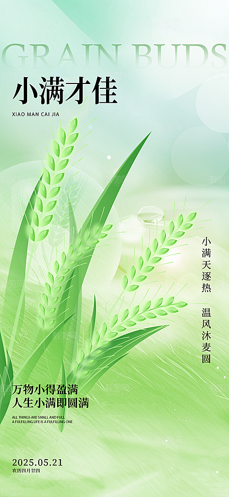 小满二十四节气海报