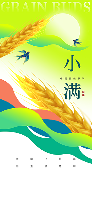 小满二十四节气海报