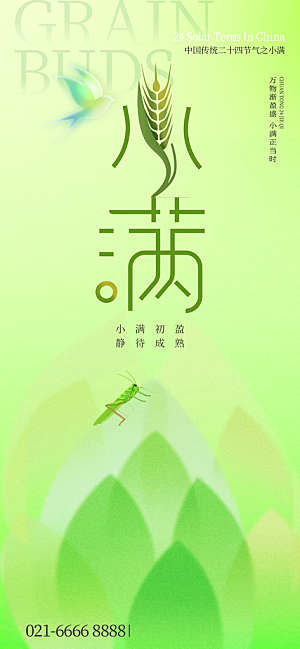 小满二十四节气海报