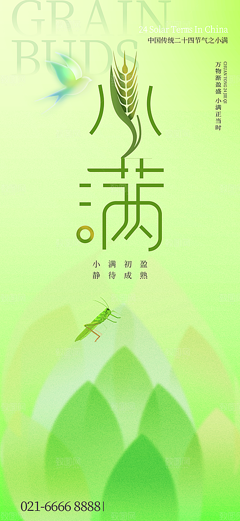 小满二十四节气海报