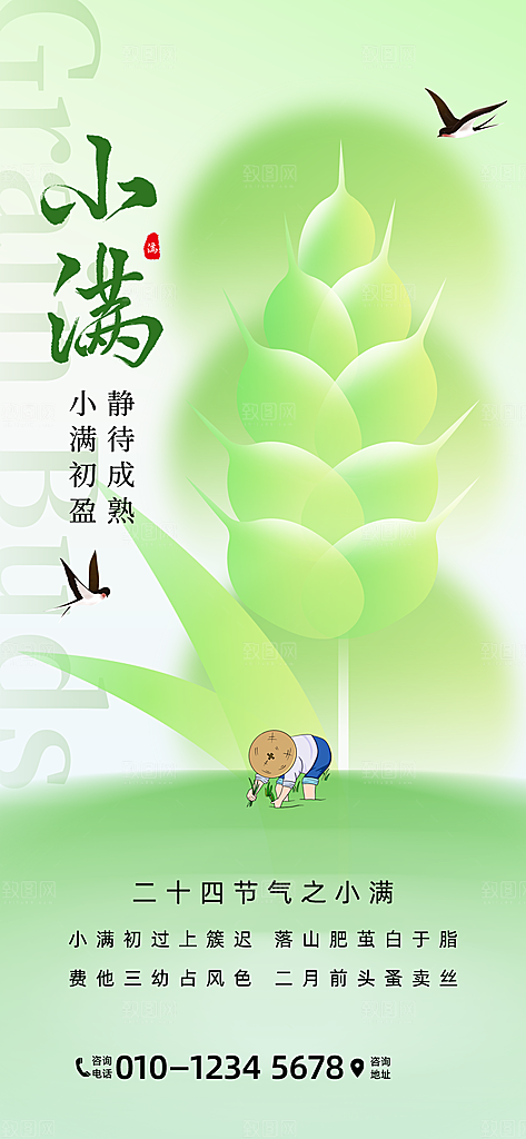 小满二十四节气海报