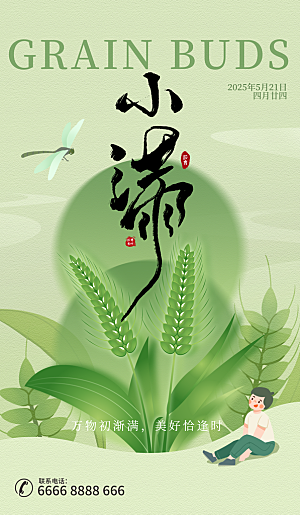 小满二十四节气海报