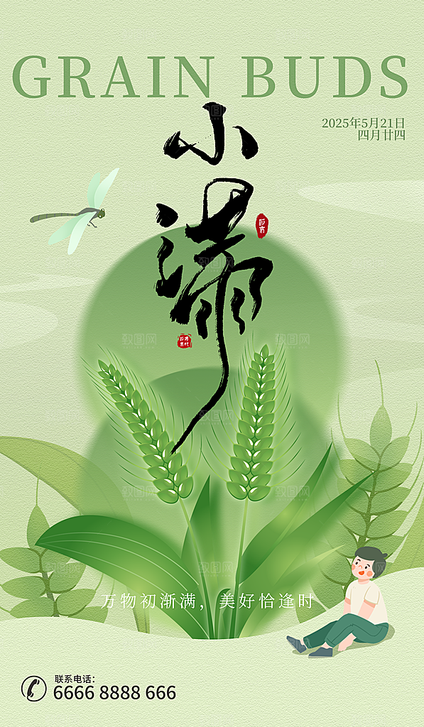 小满二十四节气海报