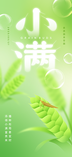 小满二十四节气海报