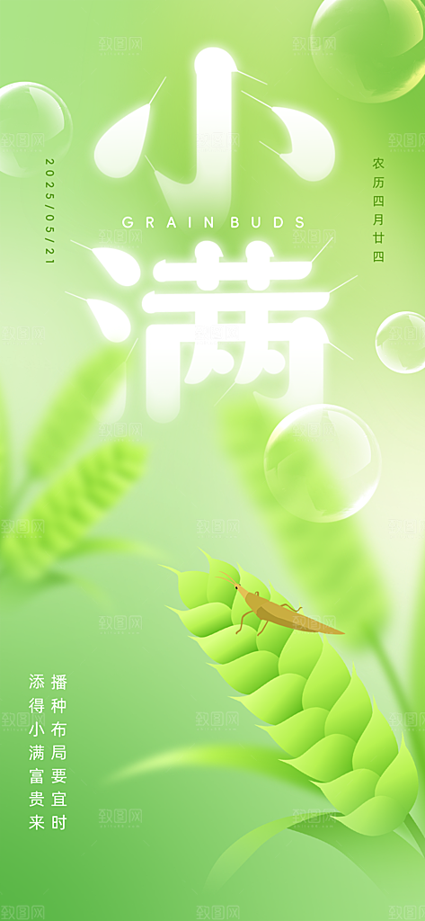 小满二十四节气海报