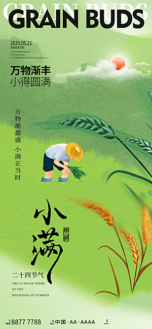 小满二十四节气海报