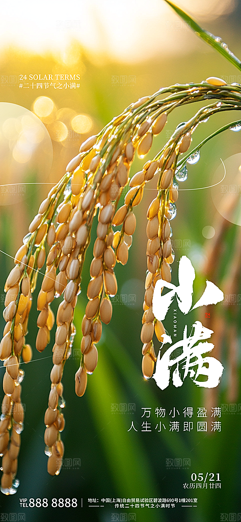 小满二十四节气海报