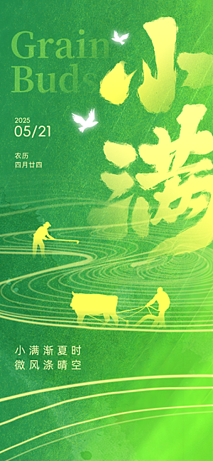 小满二十四节气海报