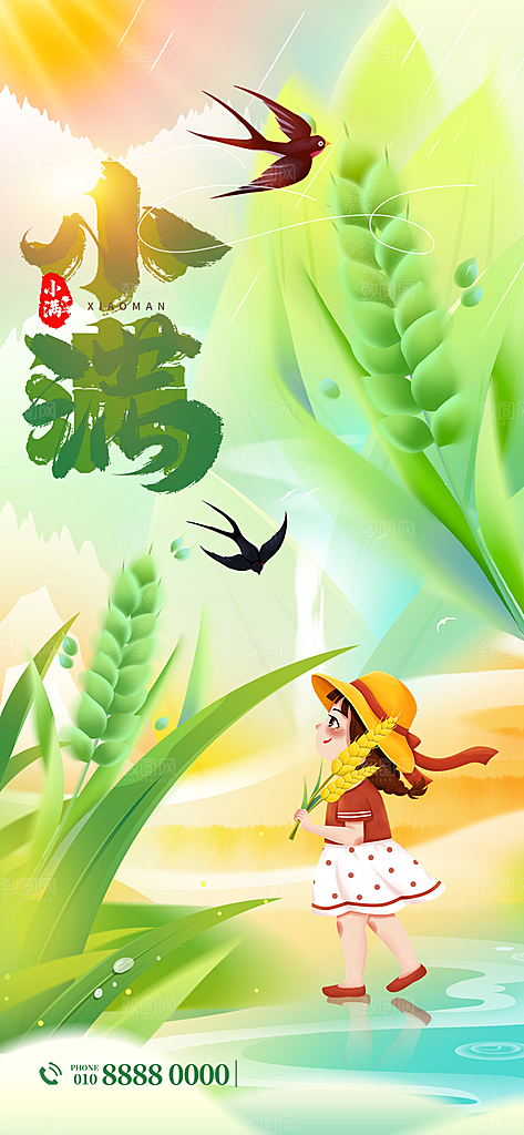 小满二十四节气海报
