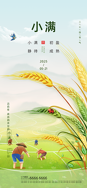 二十四节气小满海报
