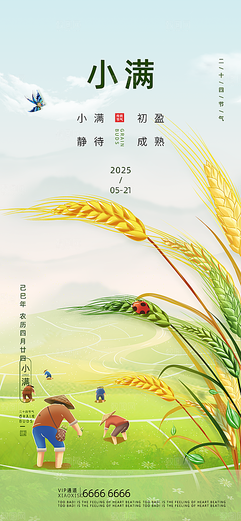 二十四节气小满海报