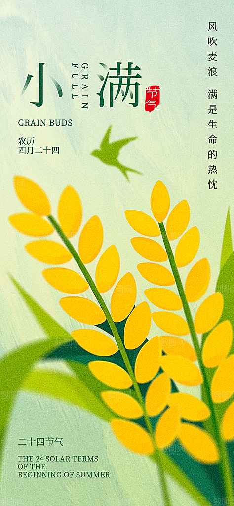 二十四节气小满海报