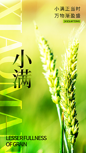 二十四节气小满海报