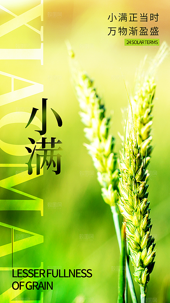 二十四节气小满海报