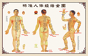 标准人体经络全图