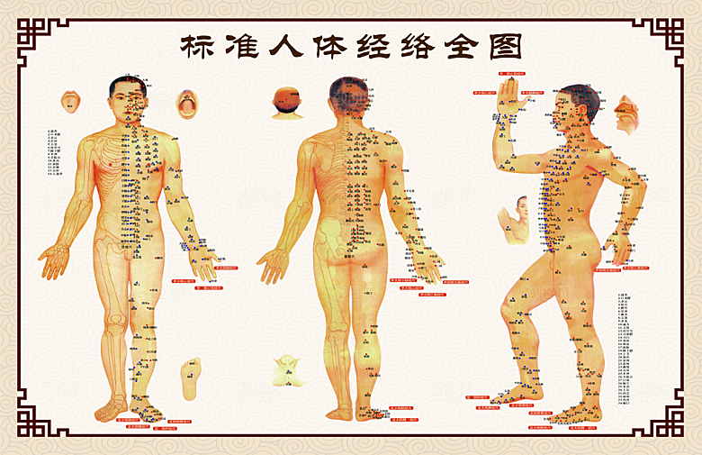 标准人体经络全图