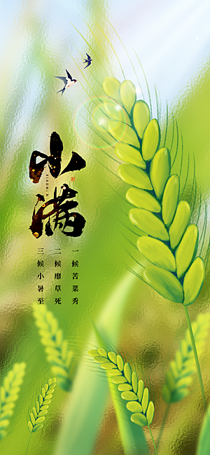 小满节气传统海报
