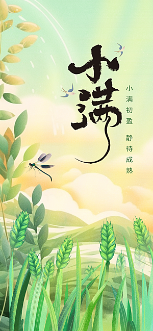 小满节气传统海报