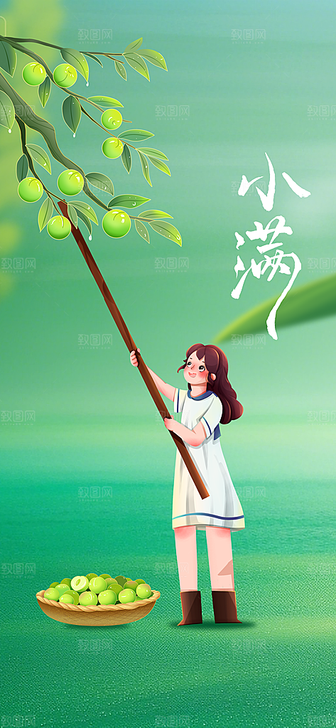小满节气传统海报