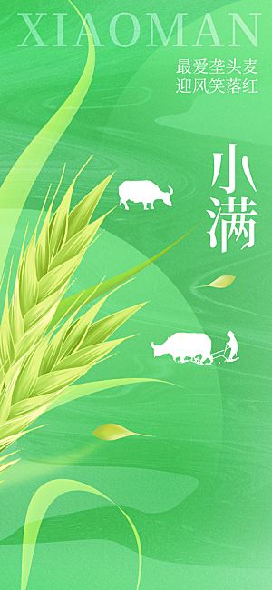 小满节气传统海报