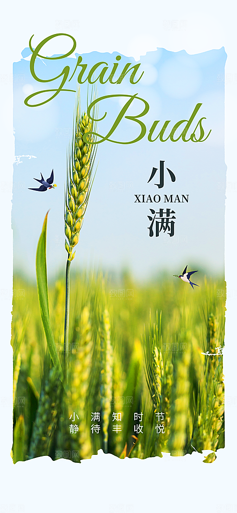 小满节气传统海报