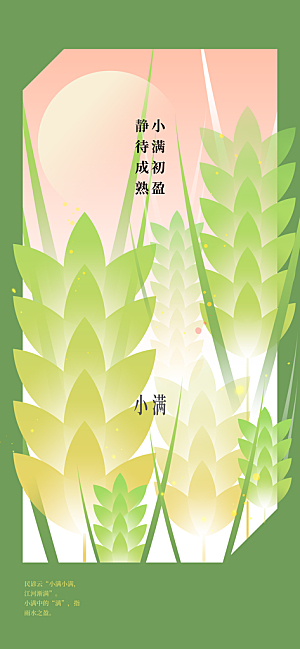 小满节气传统海报