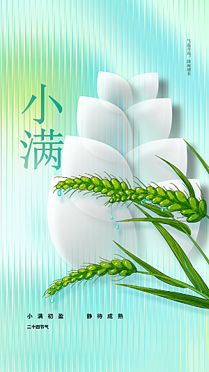 小满节气传统海报