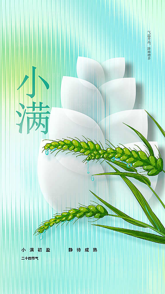 小满节气传统海报